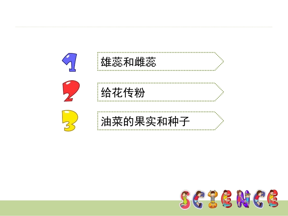 《花、果实和种子》新的生命PPT课件[教科版四年级科学下册]_第2页