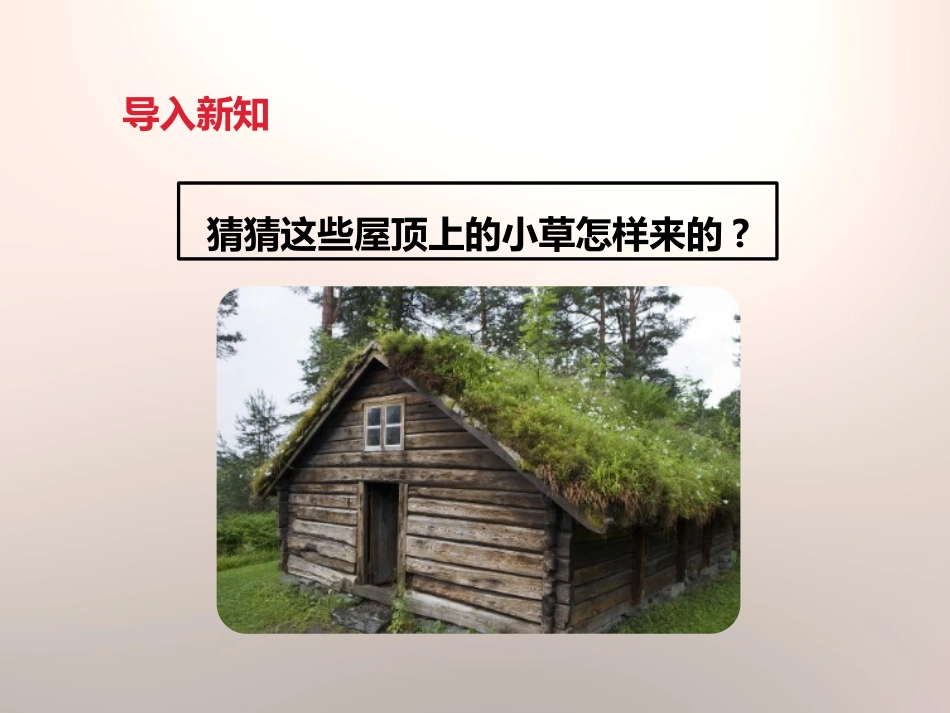 《把种子散播到远处》新的生命PPT课件[教科版四年级科学]_第2页