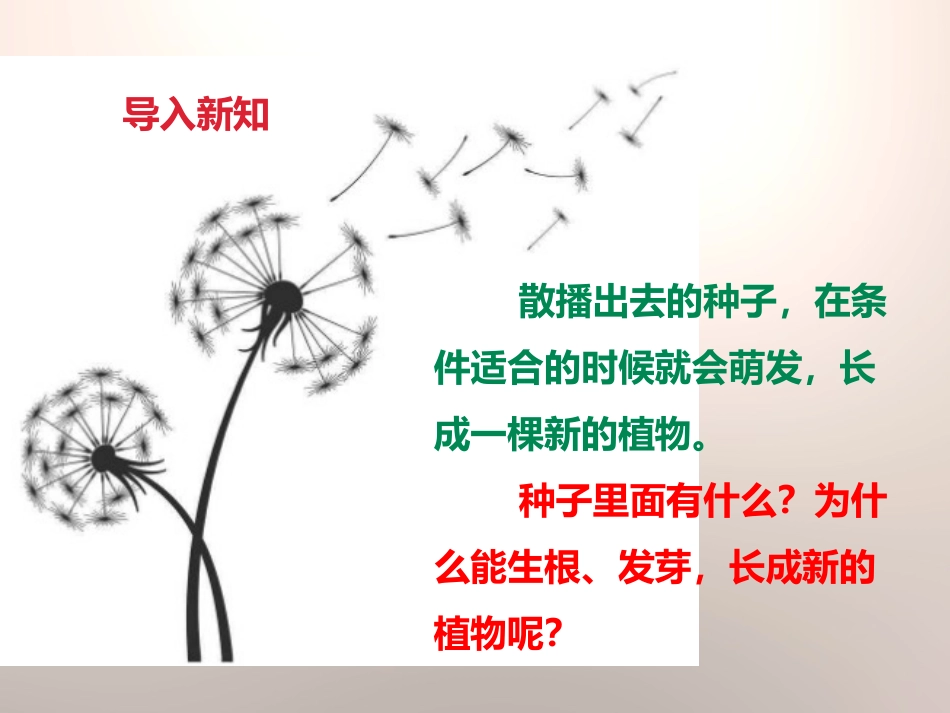 《种子的萌发》新的生命PPT课件[教科版四年级科学下册]_第2页