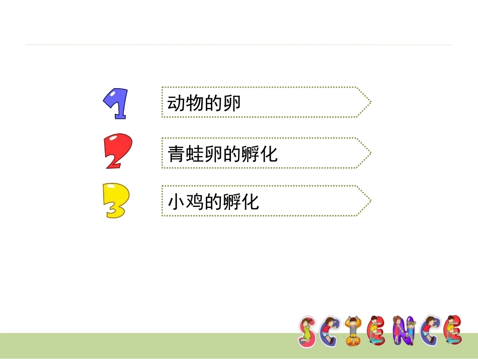《动物的卵》新的生命PPT课件[教科版四年级科学下册]_第2页