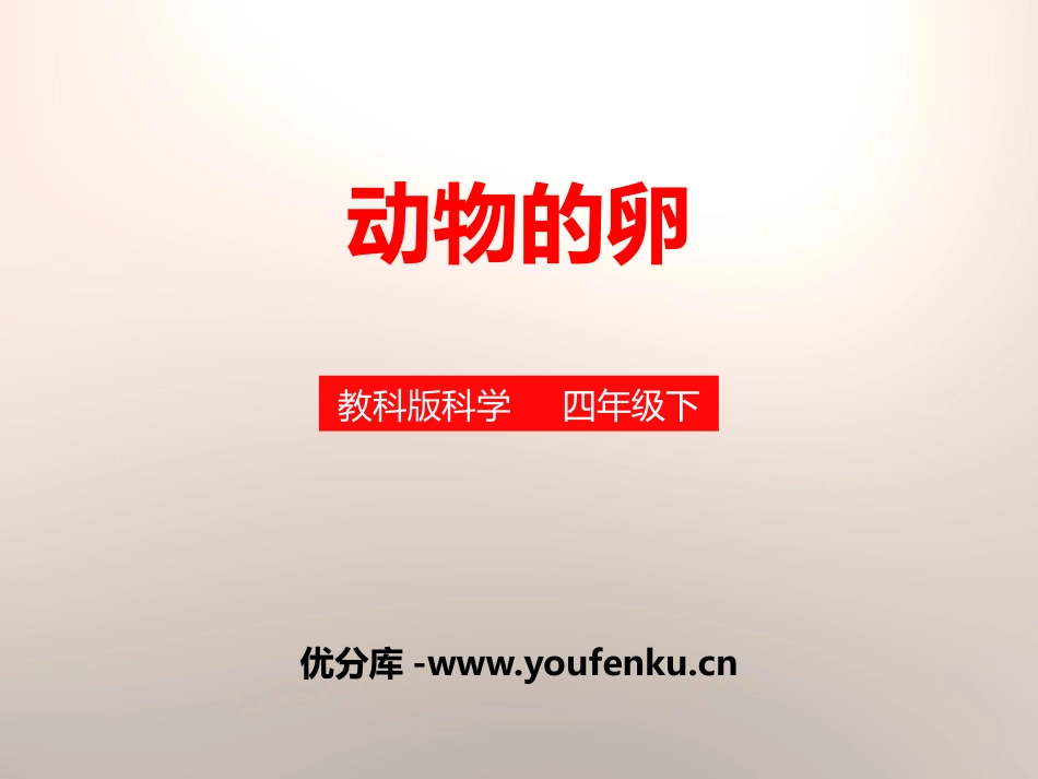 《动物的卵》新的生命PPT课件[教科版四年级科学下册]_第1页