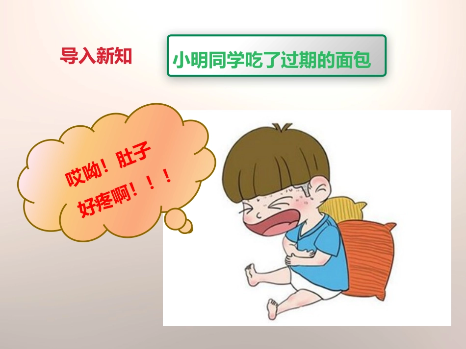 《面包发霉了》食物PPT课件[教科版四年级科学下册]_第2页