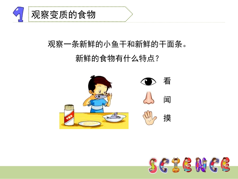 《减慢食物变质的速度》食物PPT课件[教科版四年级科学下册]_第3页