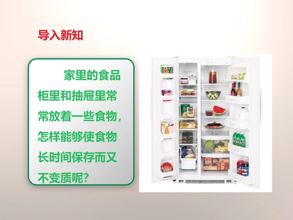 《减慢食物变质的速度》食物PPT课件[教科版四年级科学下册]_第2页