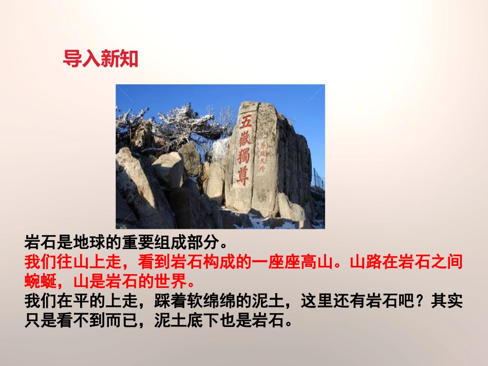 《各种各样的岩石》岩石和矿物PPT课件[教科版四年级科学]_第2页