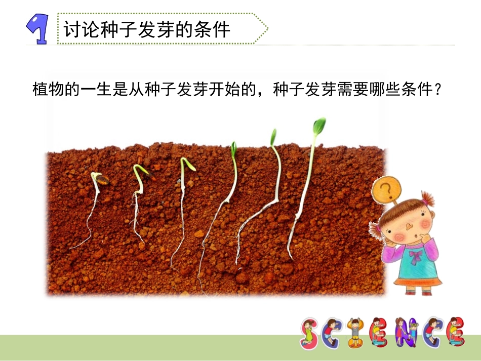 《种子发芽实验(一)》生物与环境PPT课件[教科版五年级科学]_第3页