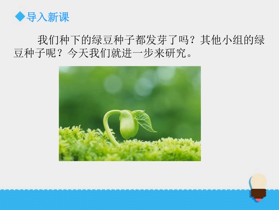 《种子发芽实验(二)》生物与环境PPT课件[教科版五年级科学]_第2页