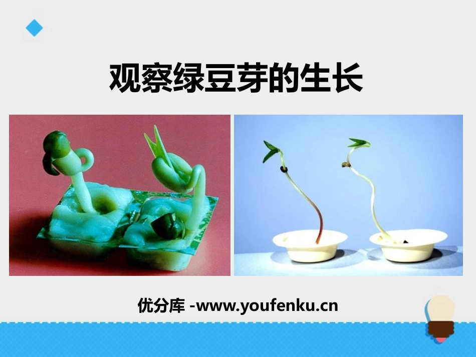 《观察绿豆芽的生长》生物与环境PPT教学课件[教科版五年级科学]_第1页