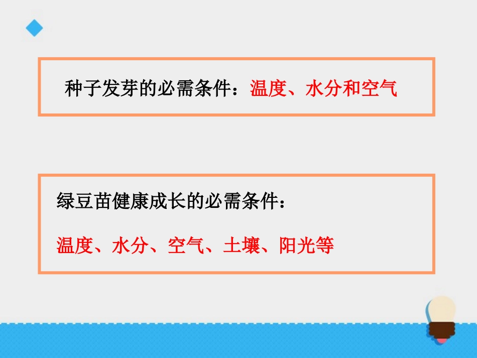 《观察绿豆芽的生长》生物与环境PPT教学课件[教科版五年级科学]_第3页
