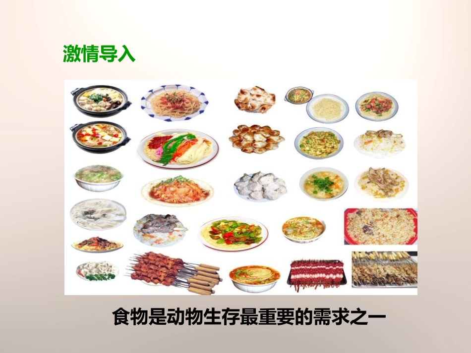 《食物链和食物网》生物与环境PPT课件[教科版五年级科学]_第2页