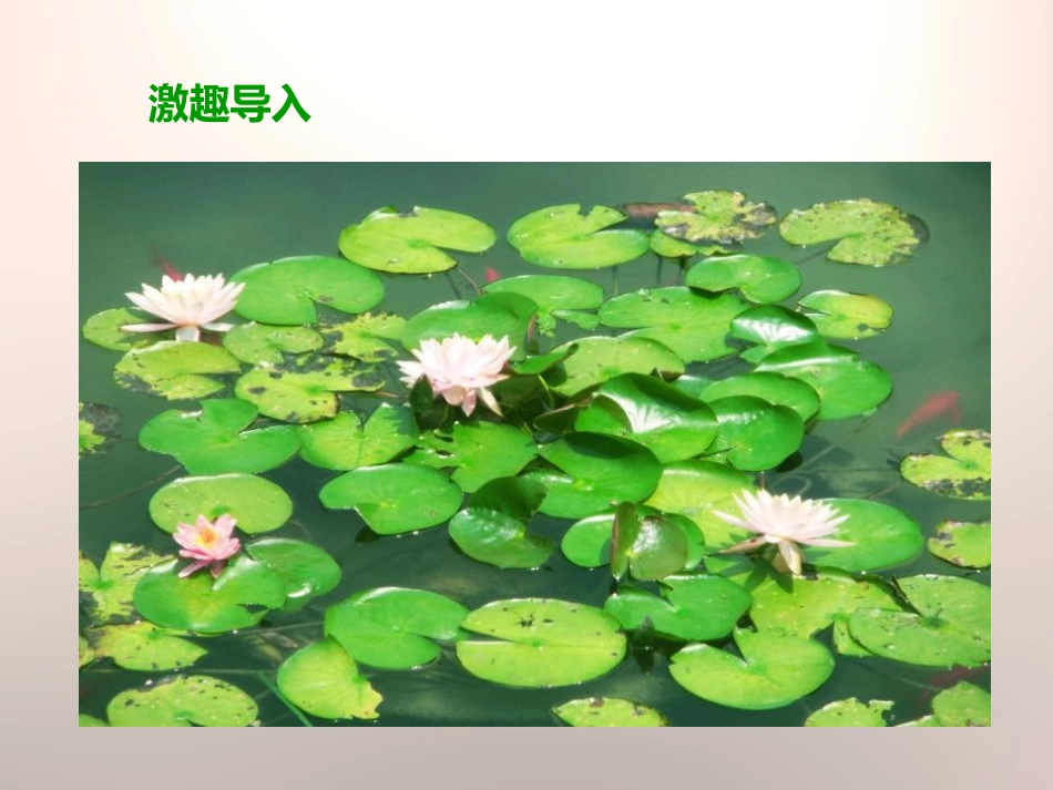《做一个生态瓶》生物与环境PPT课件[教科版五年级科学上册]_第2页