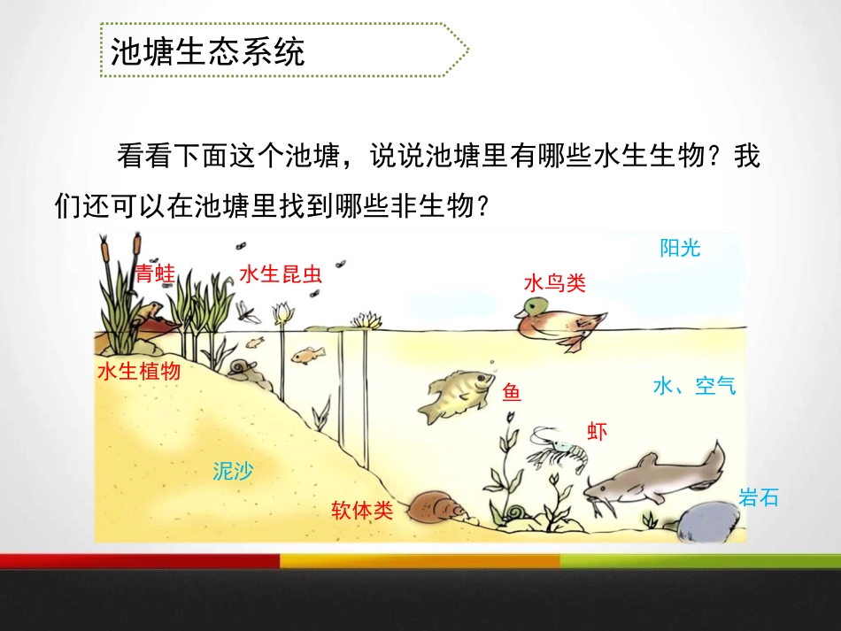 《做一个生态瓶》生物与环境PPT课件[教科版五年级科学上册]_第3页