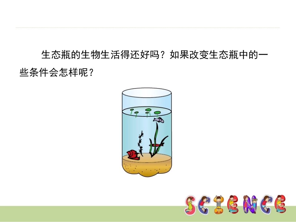 《改变生态瓶》生物与环境PPT课件[教科版五年级科学上册]_第2页