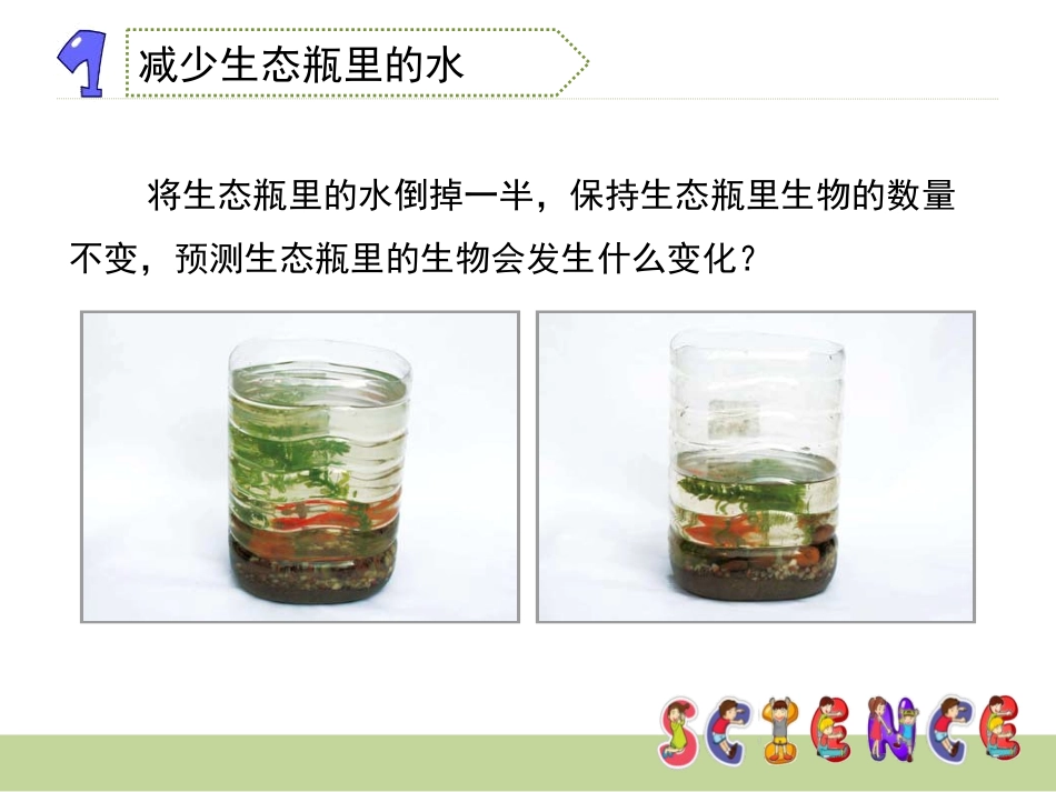 《改变生态瓶》生物与环境PPT课件[教科版五年级科学上册]_第3页