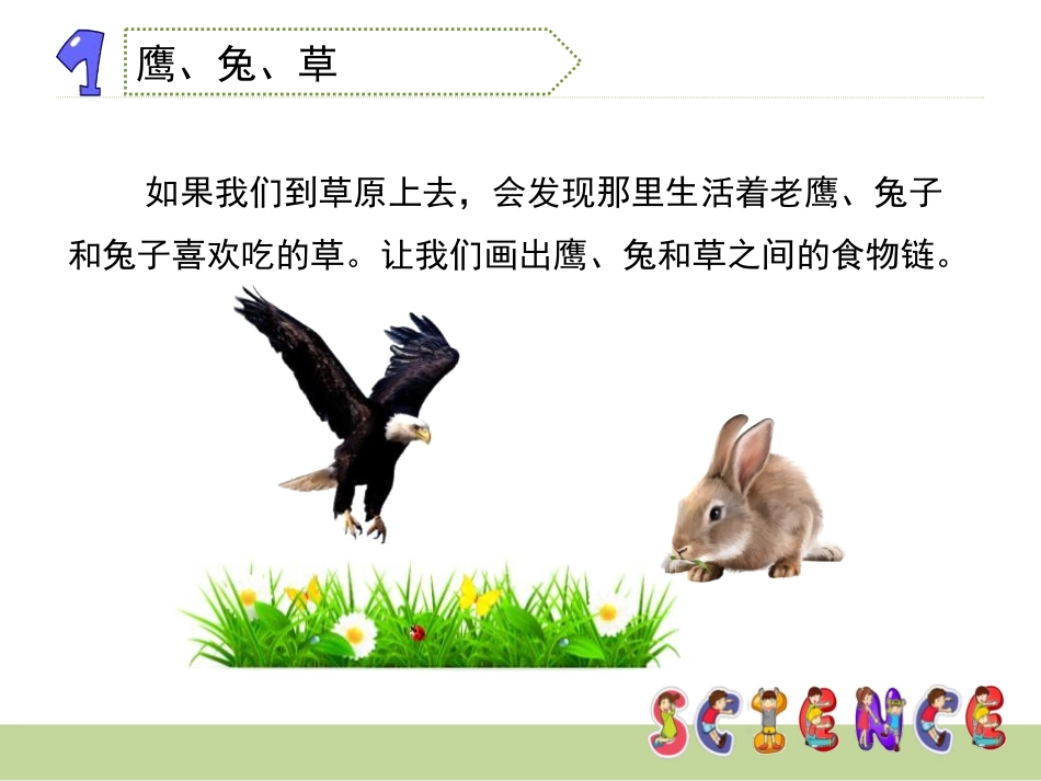 《维护生态平衡》生物与环境PPT课件[教科版五年级科学上册]_第3页