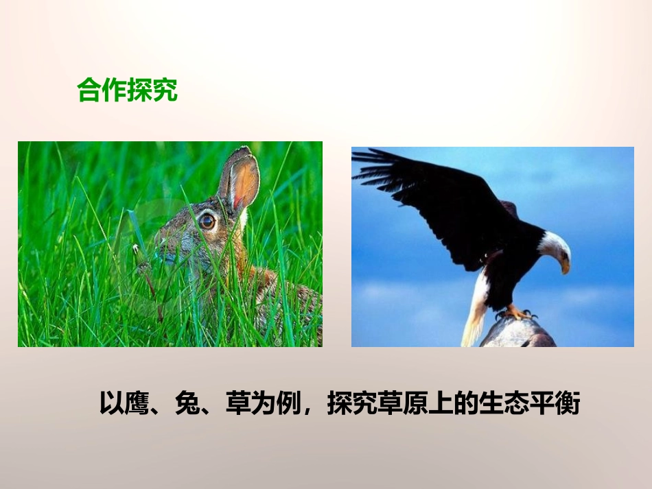 《维护生态平衡》生物与环境PPT课件[教科版五年级科学上册]_第3页