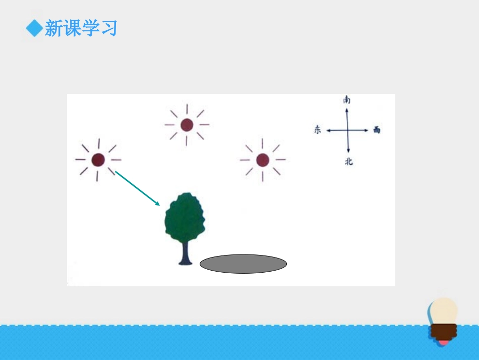 《阳光下的影子》光PPT教学课件[教科版五年级科学上册]_第3页