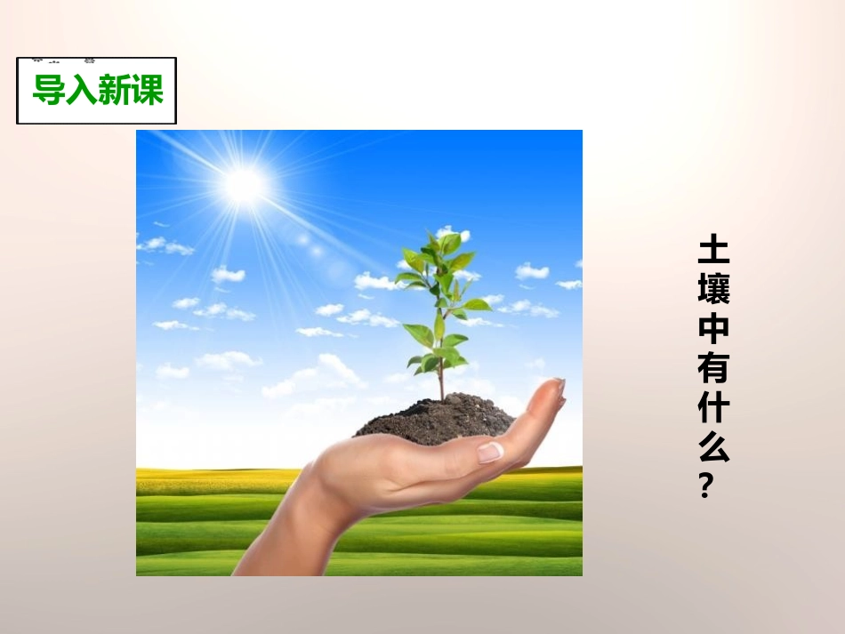 《土壤中有什么》地球表面及其变化PPT课件[教科版五年级科学]_第2页