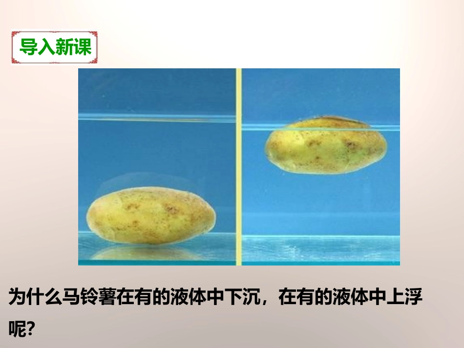 《探索马铃薯沉浮的原因》沉和浮PPT课件[教科版五年级科学]_第2页