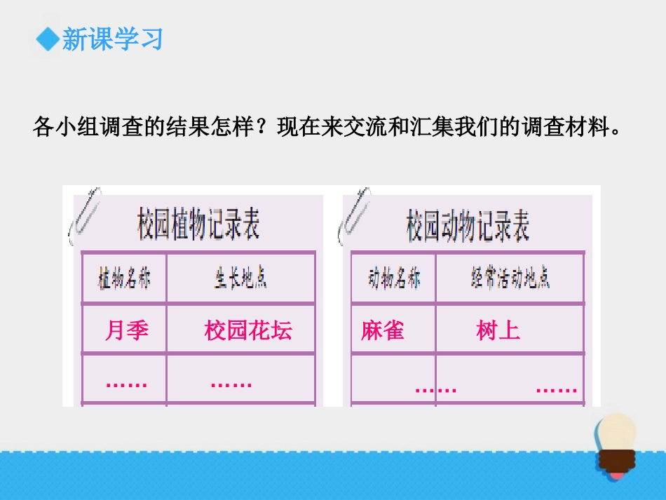 《校园生物分布图》生物的多样性PPT教学课件[教科版六年级科学]_第3页