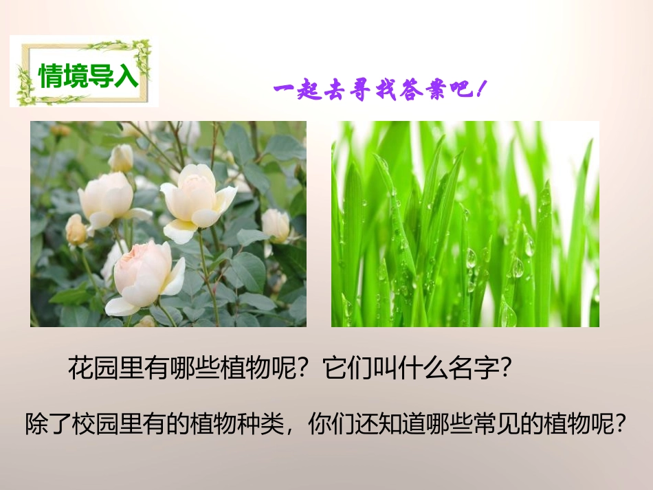 《多种多样的植物》生物的多样性PPT课件[教科版六年级科学]_第2页