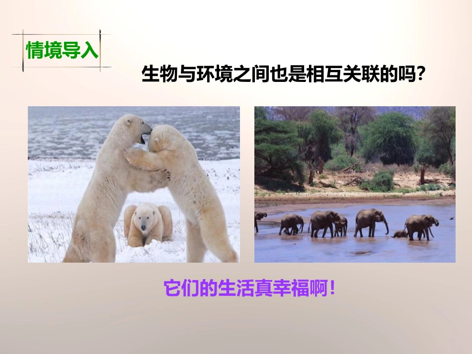《原来是相互关联的》生物的多样性PPT课件[教科版六年级科学]_第2页