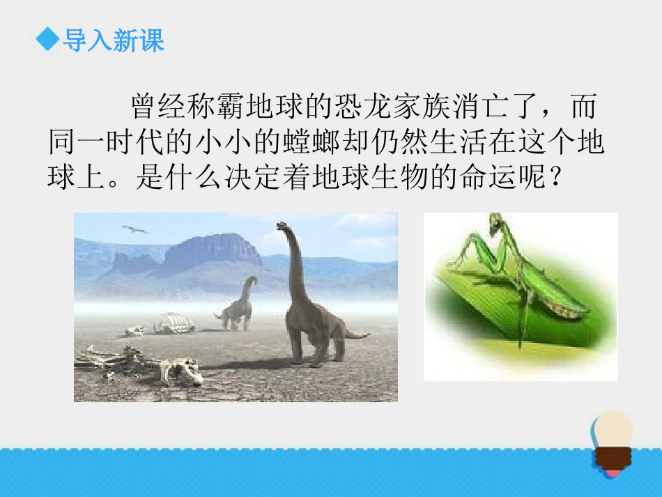 《谁选择了它们》生物的多样性PPT教学课件[教科版六年级科学]_第2页