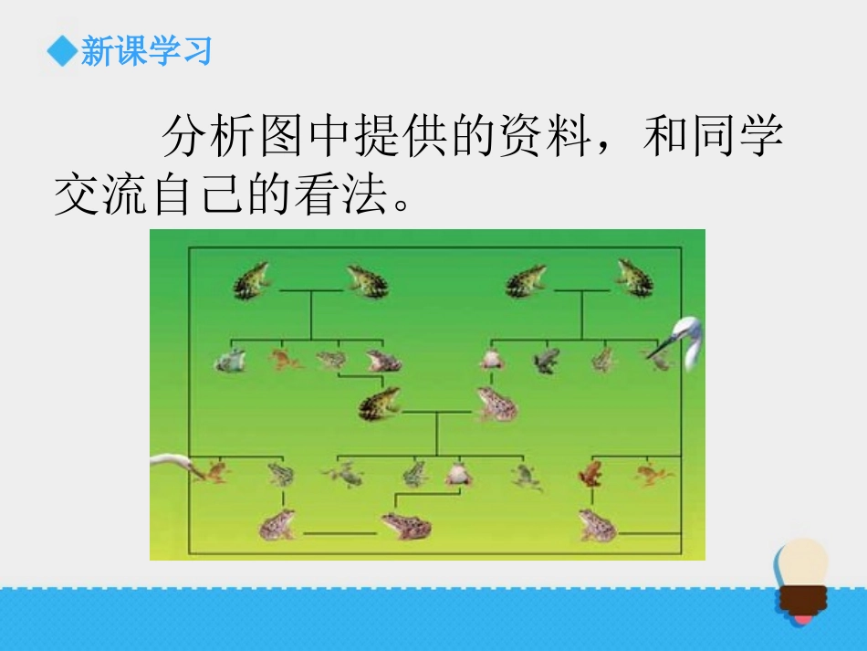 《谁选择了它们》生物的多样性PPT教学课件[教科版六年级科学]_第3页