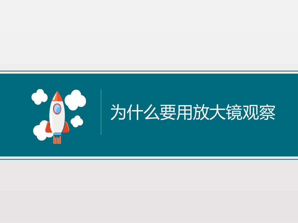 《放大镜》微小世界PPT课件[教科版六年级科学下册]_第3页