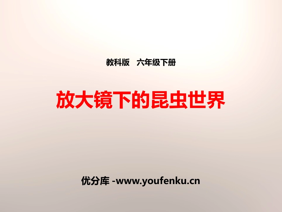《放大镜下的昆虫世界》微小世界PPT课件[教科版六年级科学]_第1页