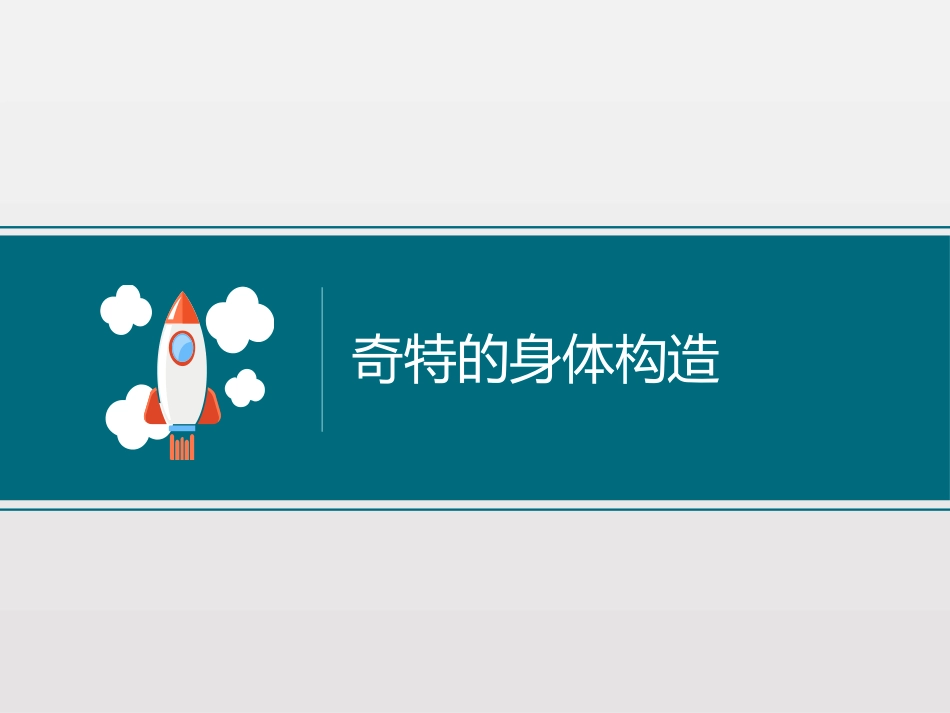 《放大镜下的昆虫世界》微小世界PPT教学课件[教科版六年级科学]_第3页