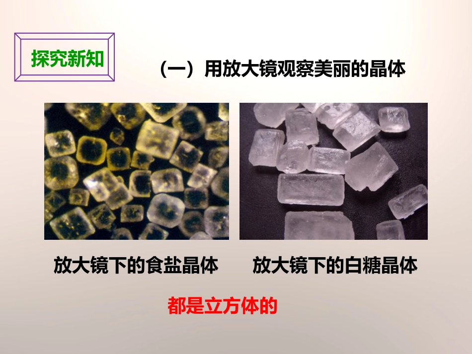 《放大镜下的晶体》微小世界PPT教学课件[教科版六年级科学]_第3页