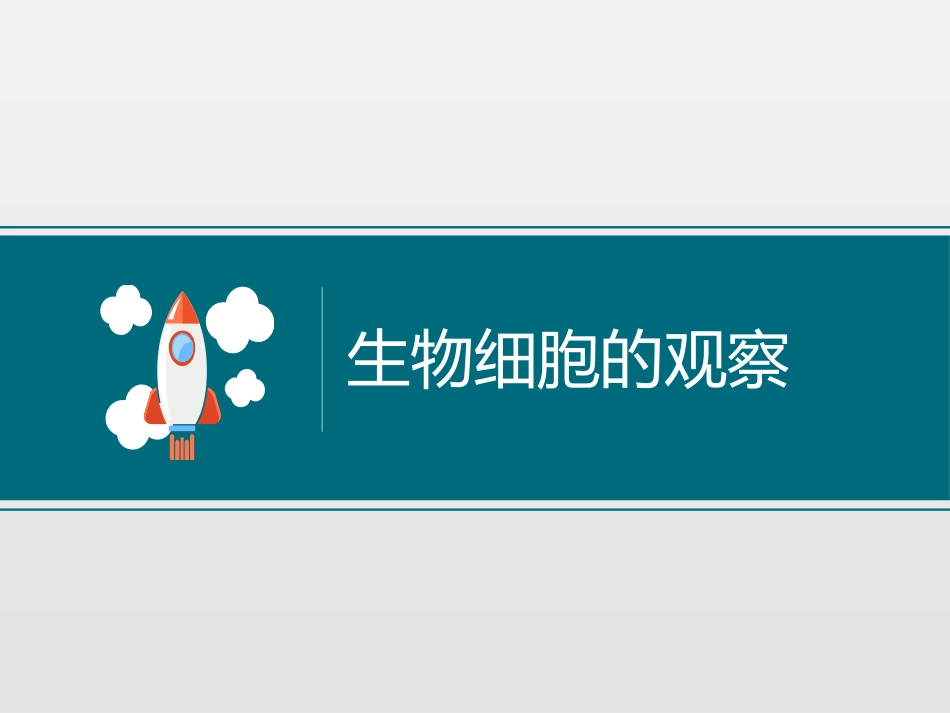 《用显微镜观察身边的生命世界(二)》微小世界PPT教学课件_第3页