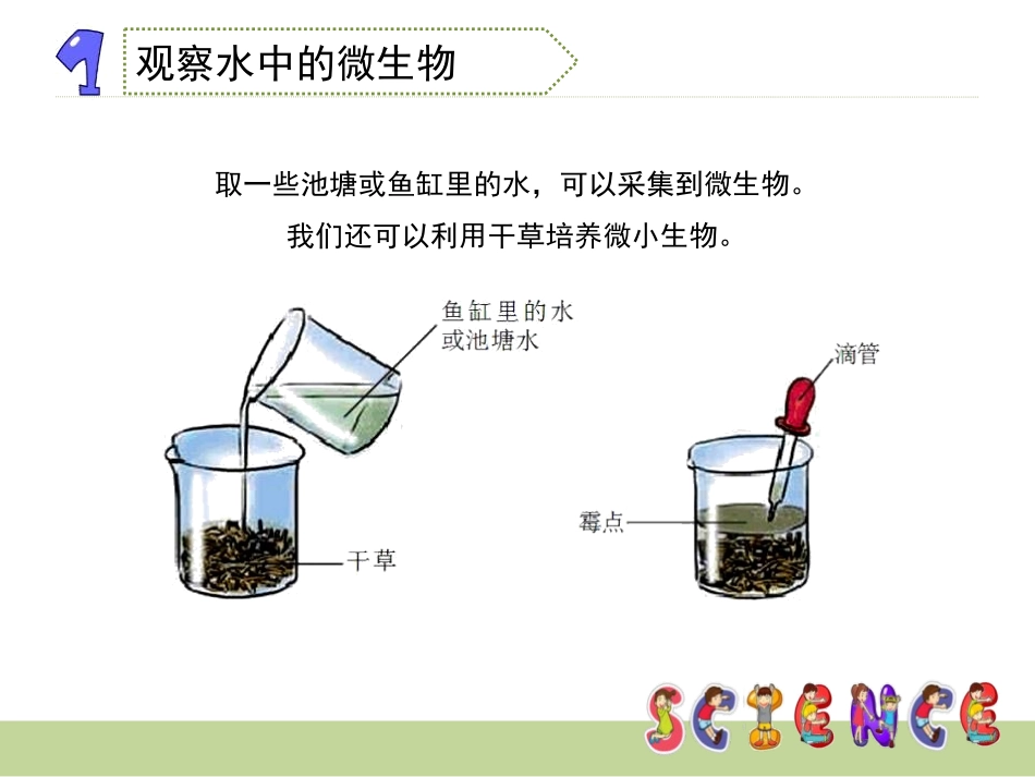《用显微镜观察身边的生命世界(三)》微小世界PPT课件_第3页