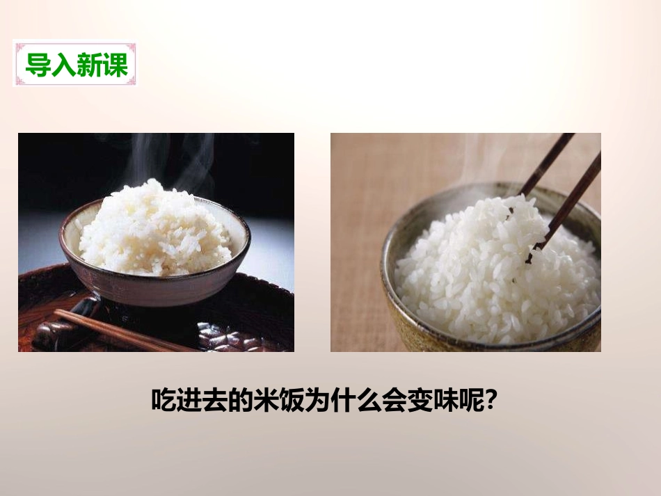《米饭、淀粉和碘酒的变化》物质的变化PPT课件[教科版六年级科学]_第3页