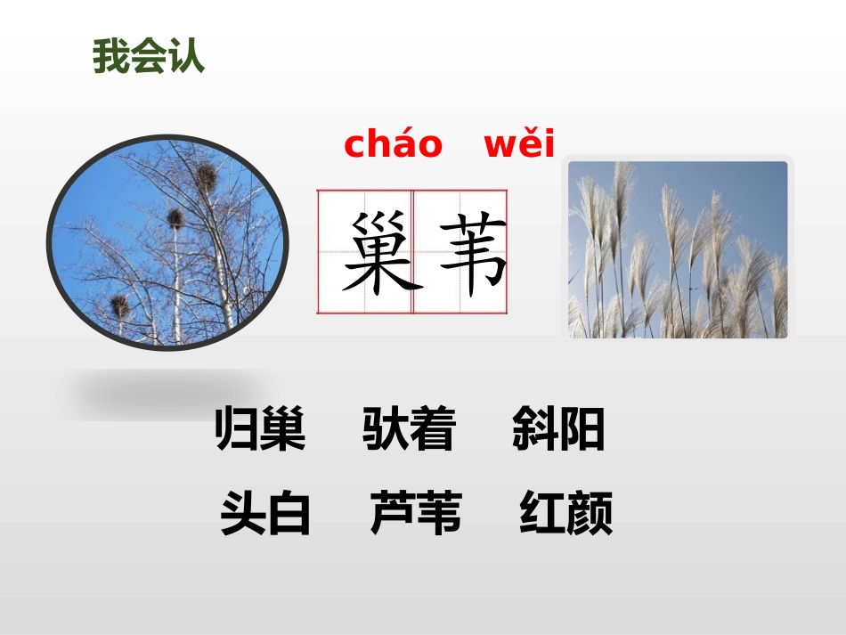 《现代诗二首》第一课时PPT课件[部编版四年级语文上册]_第3页