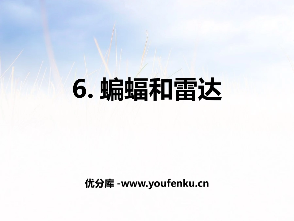 《蝙蝠和雷达》PPT课件[部编版四年级语文上册]_第1页