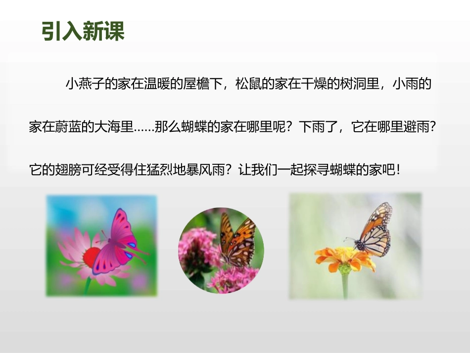 《蝴蝶的家》PPT课件[部编版四年级语文上册]_第2页