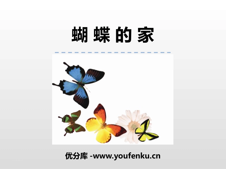 《蝴蝶的家》PPT教学课件[部编版四年级语文上册]_第1页