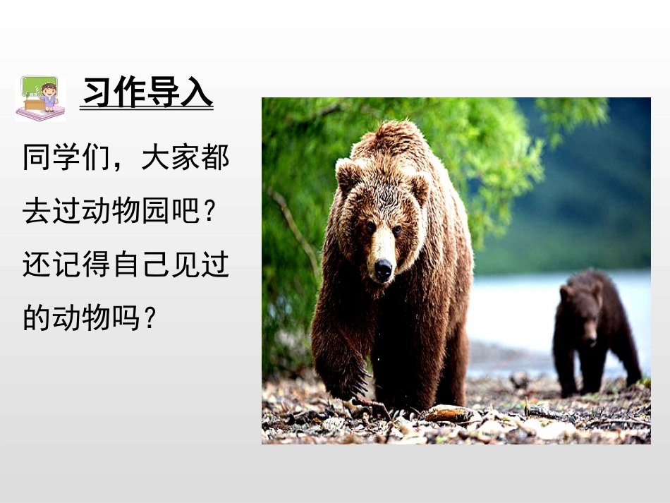 《小小动物园》PPT课件[部编版四年级语文上册]_第2页