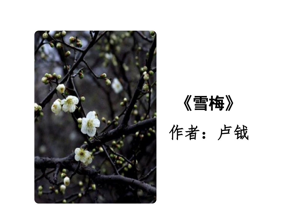 《古诗三首》第三课时PPT课件[部编版四年级语文上册]_第2页
