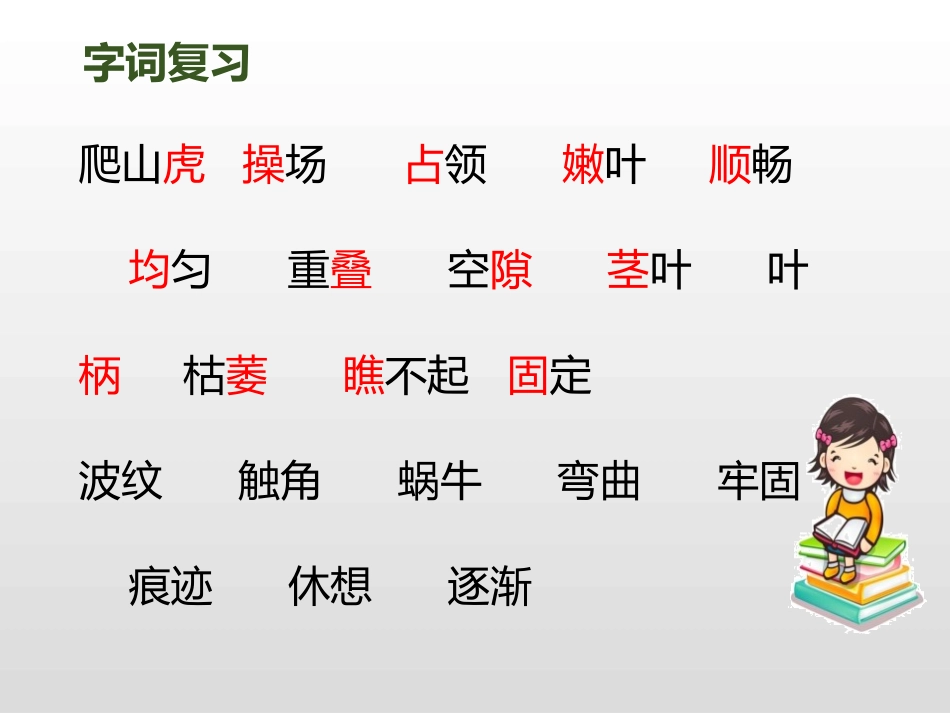 《爬山虎的脚》第二课时PPT课件[部编版四年级语文上册]_第3页