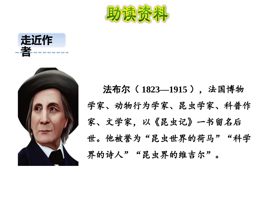 《蟋蟀的住宅》第一课时PPT课件[部编版四年级语文上册]_第3页