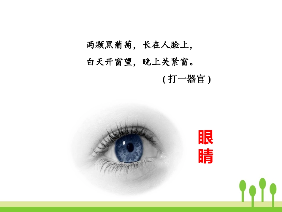 《爱护眼睛 保护视力》PPT课件[部编版四年级语文上册]_第2页