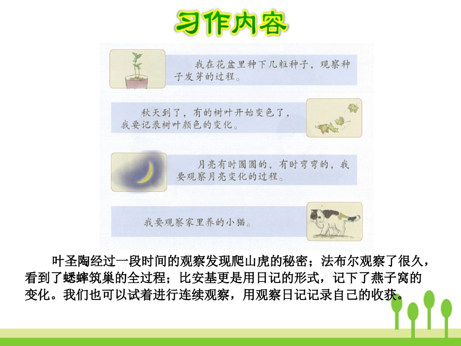 《写观察日记》PPT课件[部编版四年级语文上册]_第3页