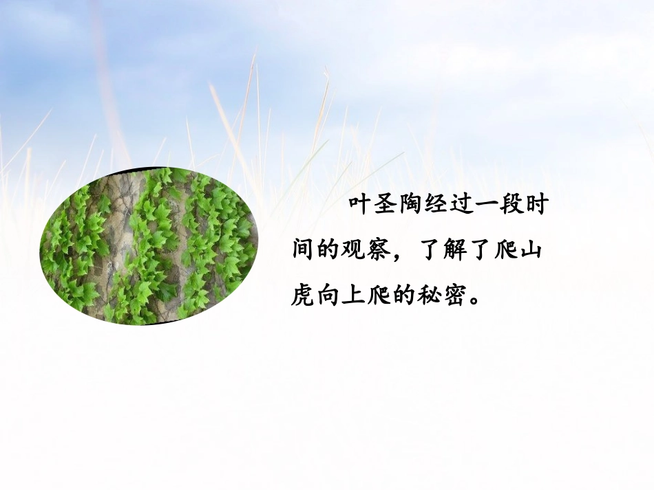 《写观察日记》PPT课件[部编版四年级语文上册]_第3页