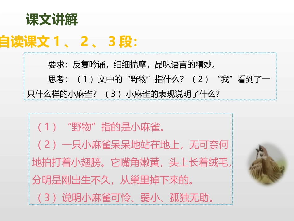 《麻雀》第二课时PPT课件[部编版四年级语文上册]_第3页