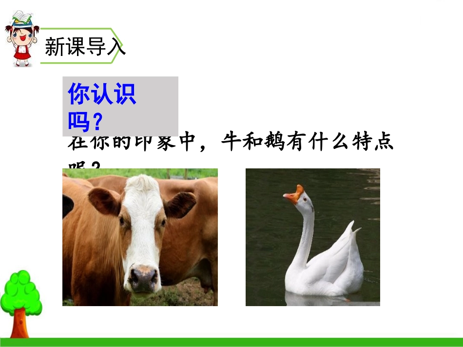 《牛和鹅》PPT课件[部编版四年级语文上册]_第2页