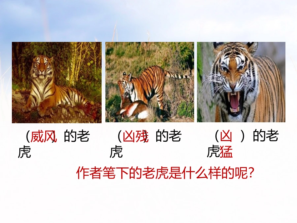 《一只窝囊的大老虎》第一课时PPT课件[部编版四年级语文]_第3页