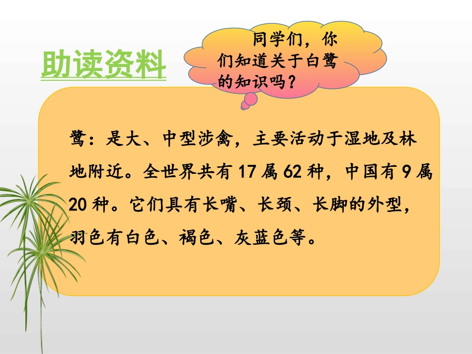 《白鹭》PPT课件[部编版五年级语文上册]_第2页